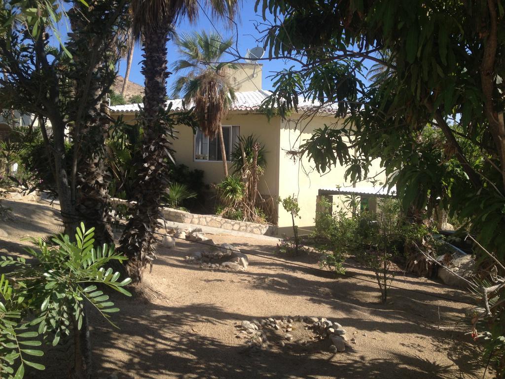 Surfer'S Paradise, Yoga&Food Garden@Costa Azul, Los Cabos San José del Cabo Eksteriør bilde
